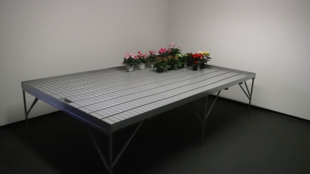Ebb and flow tray